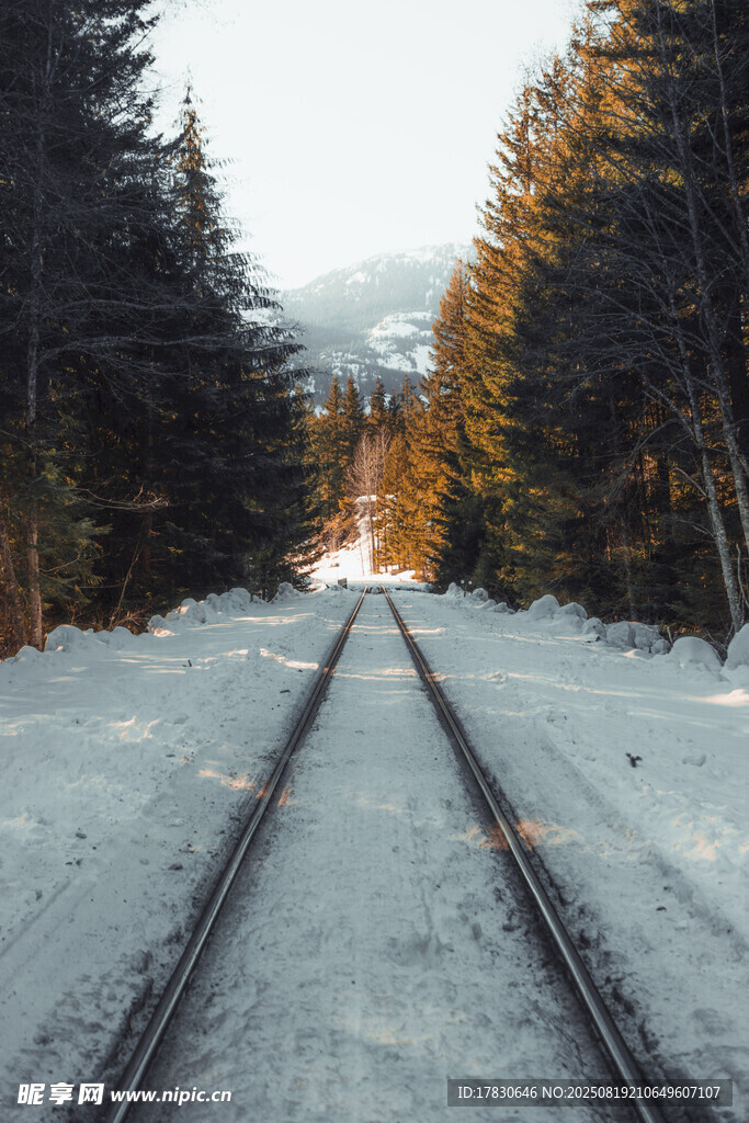 冬日雪覆鐵軌的靜謐景象
