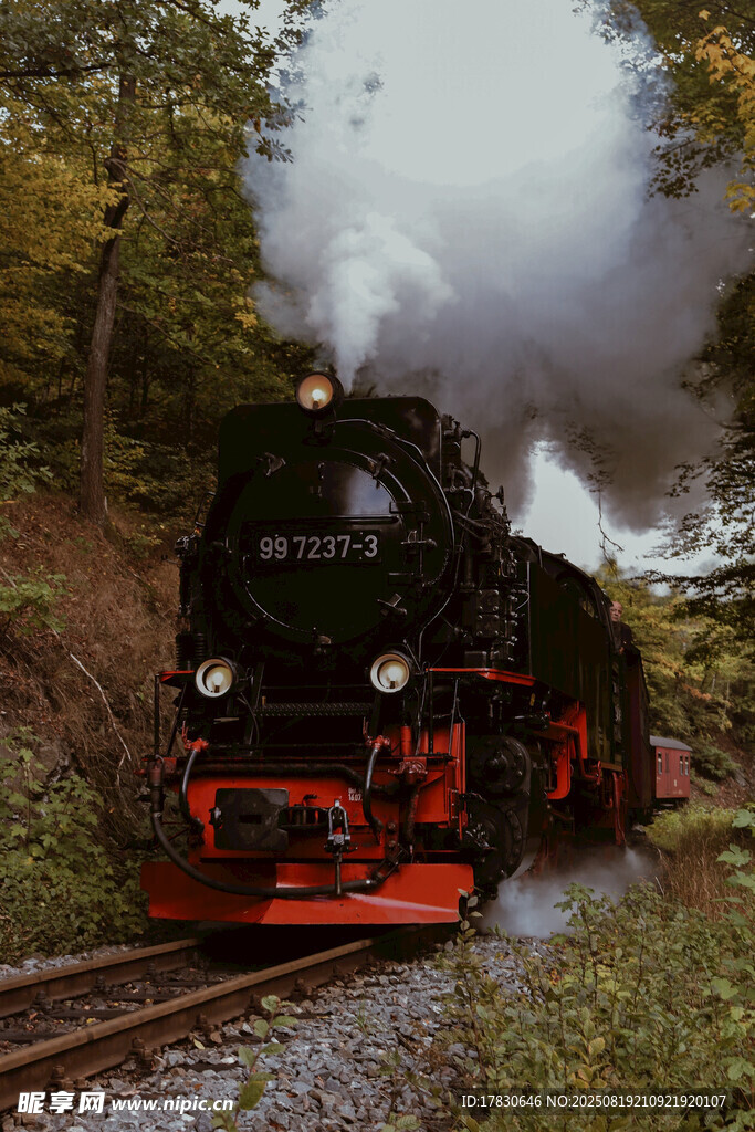 復古蒸汽火車穿行山林間