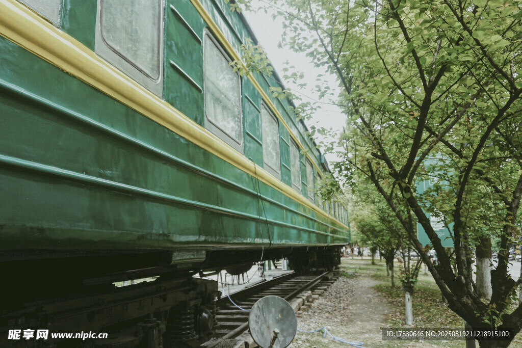 綠皮火車穿行于綠樹間