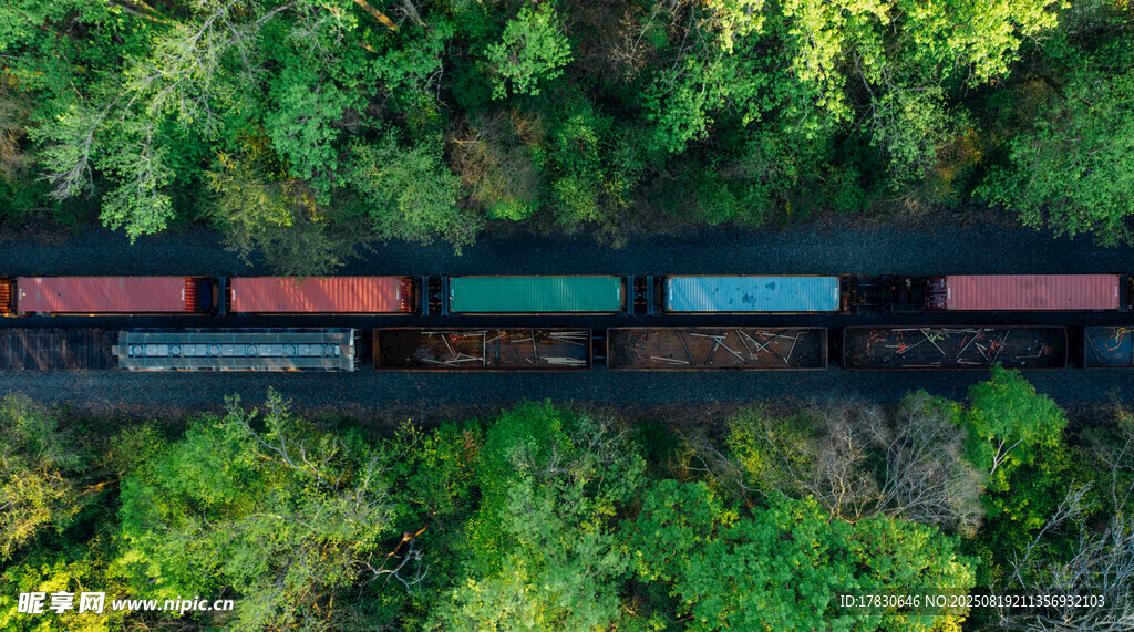 空中俯瞰穿行森林的列車