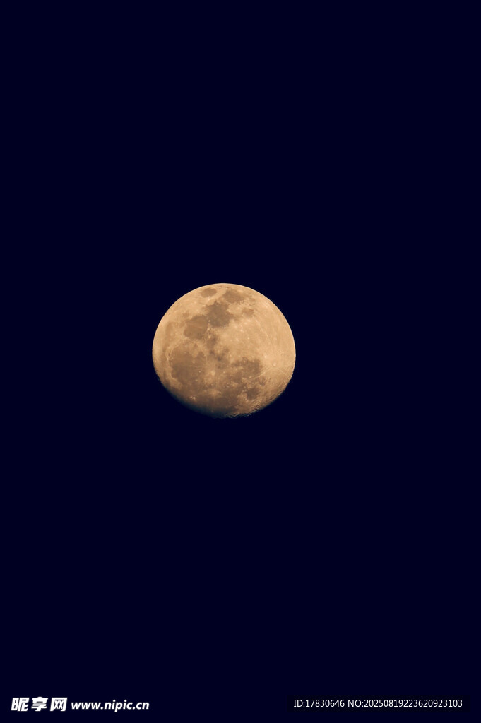 夜空中的金黃圓月