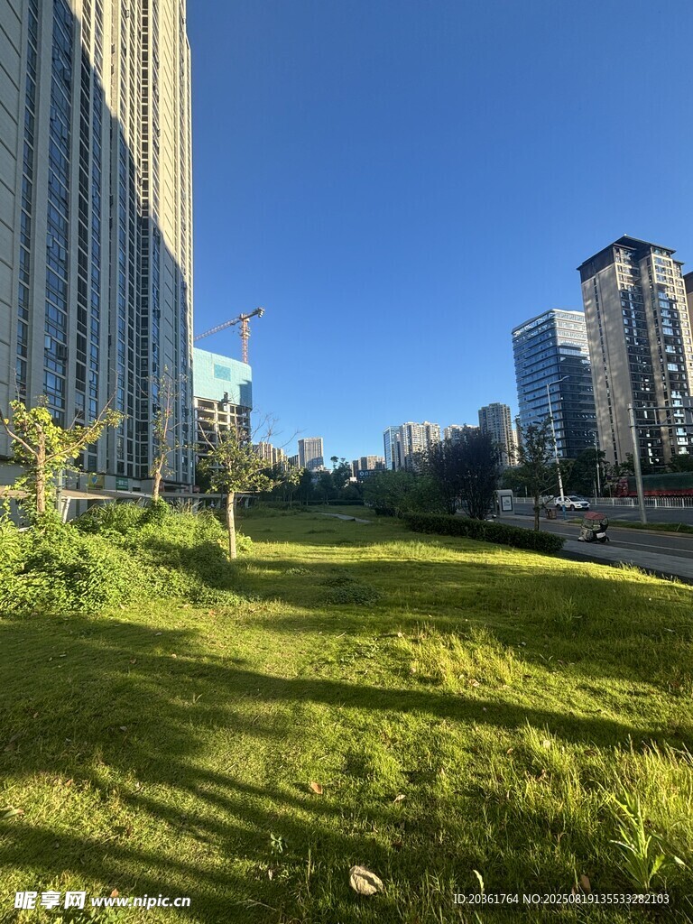 城市中的綠地與高樓景觀