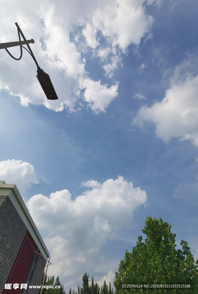 空中懸掛的黑槳葉