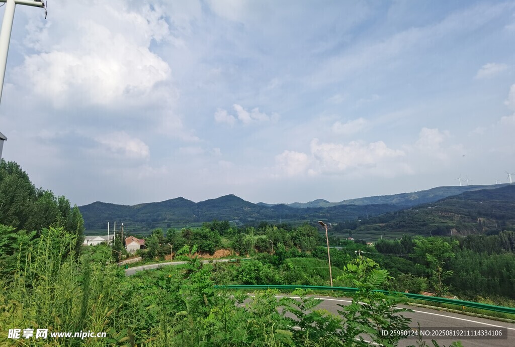 鄉(xiāng)村公路旁的綠意風(fēng)光