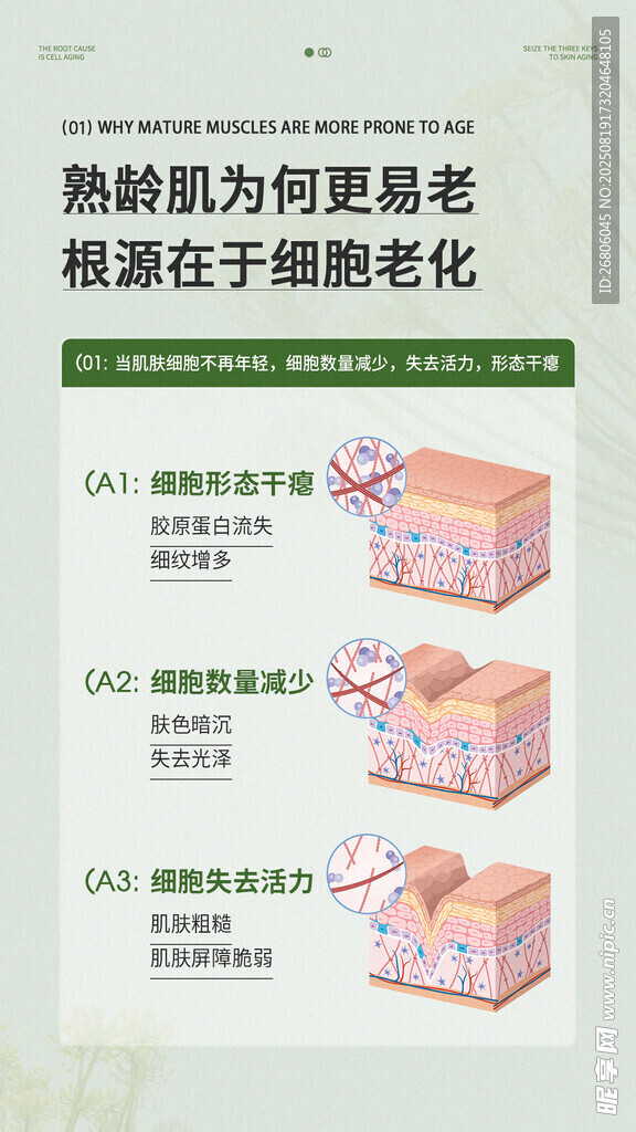 護膚知識