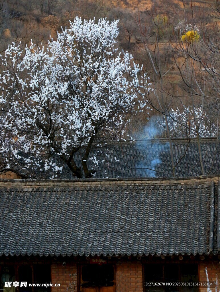 炊煙