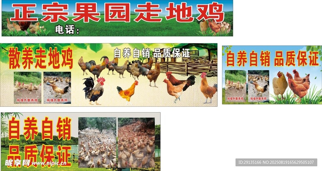 正宗果園凍貨批發(fā)宣傳圖