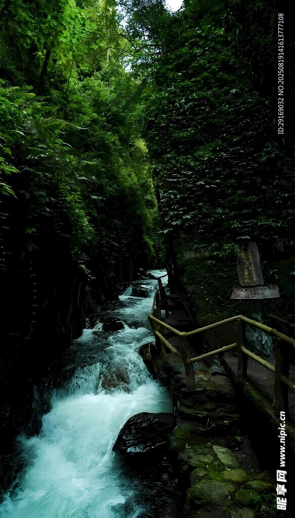 山間溪流棧道 綠意盎然