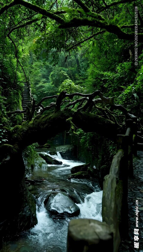 山林間的潺潺溪流石橋