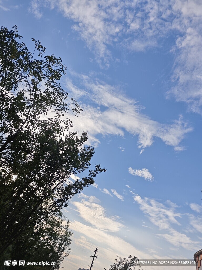 藍(lán)天綠樹間的美好景致