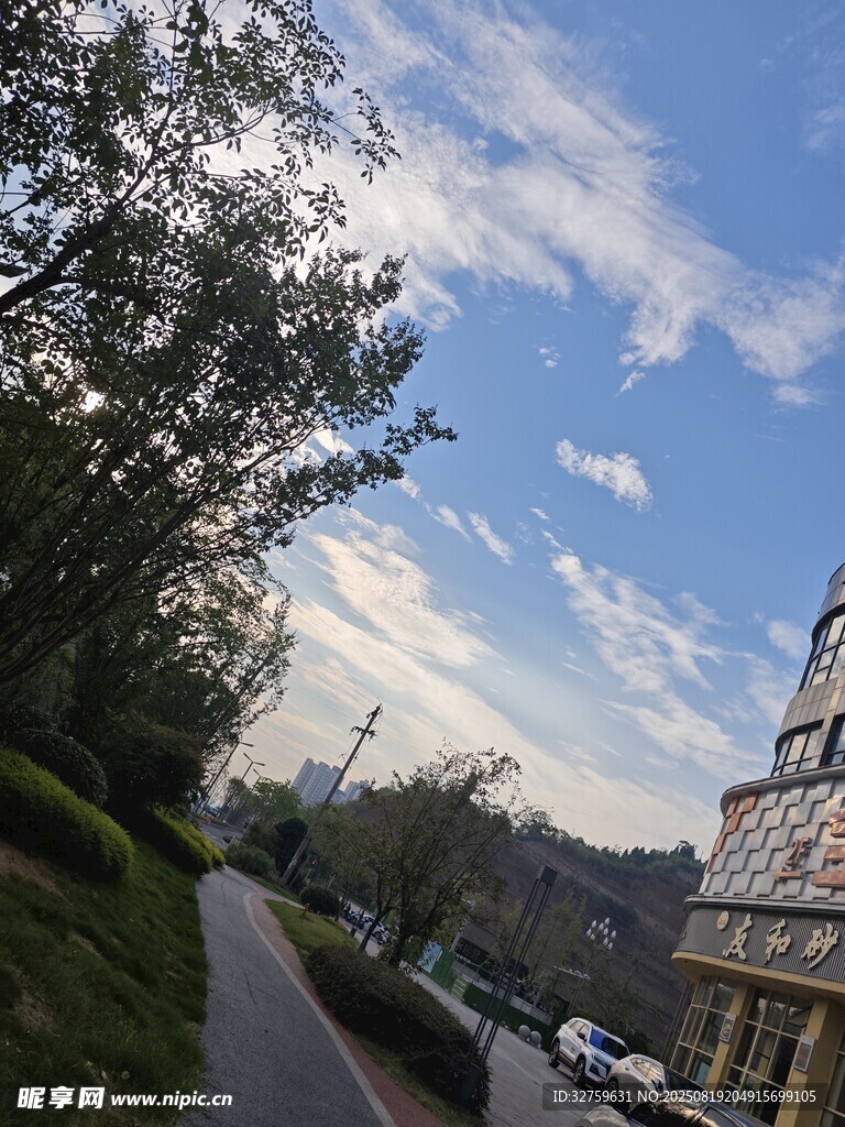 城市林蔭道旁的美麗景致