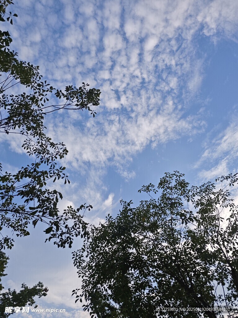 藍天綠樹間的美麗景致