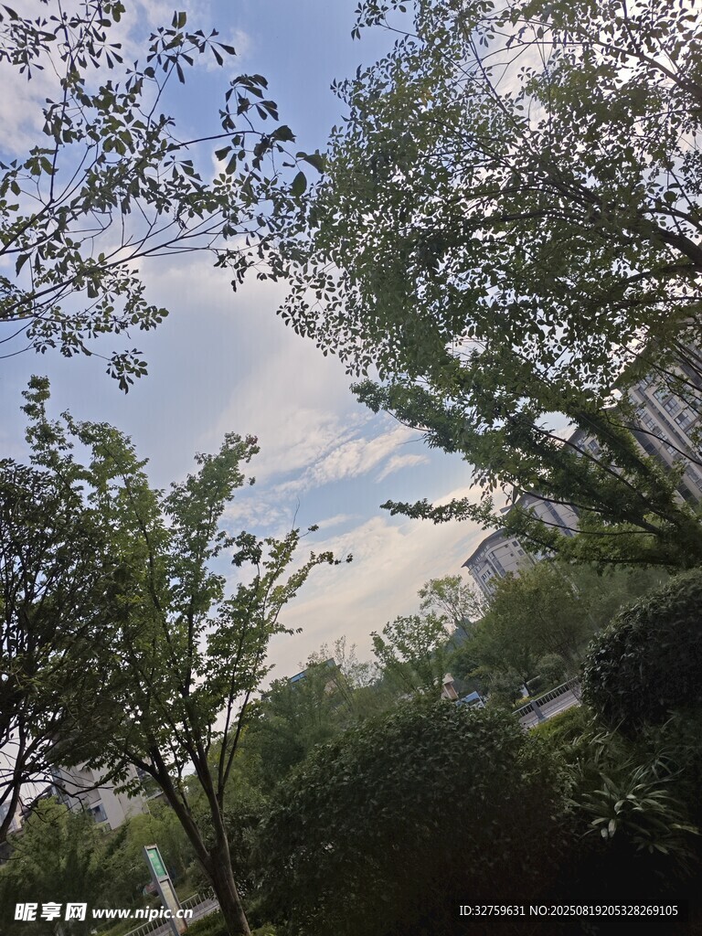 林間天空 