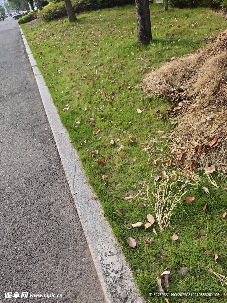 路邊草地施工場景