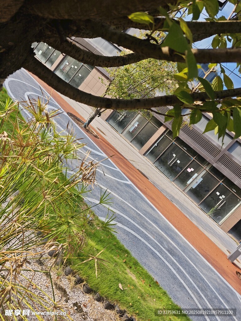 校園小徑旁的綠植與建筑