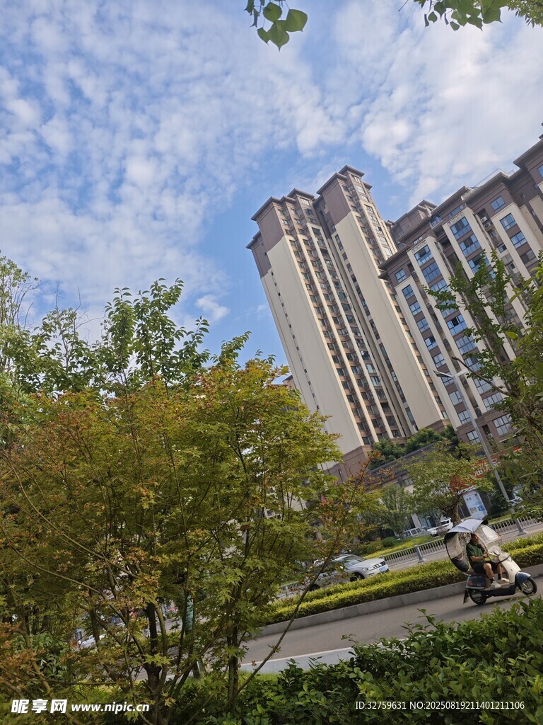 城市高樓旁的綠意景致