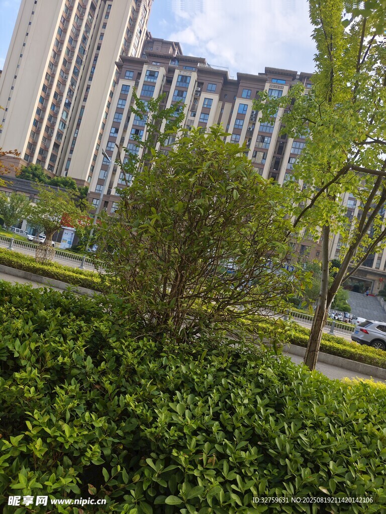 城市住宅區(qū)綠植景觀