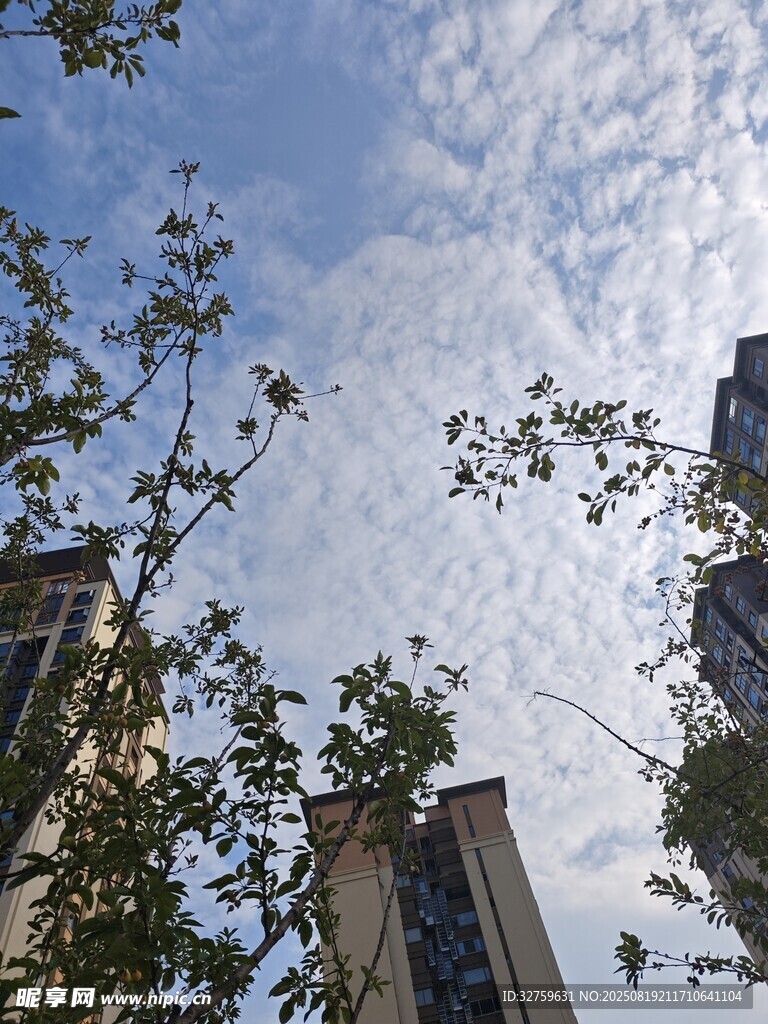 藍(lán)天綠樹間的城市高樓
