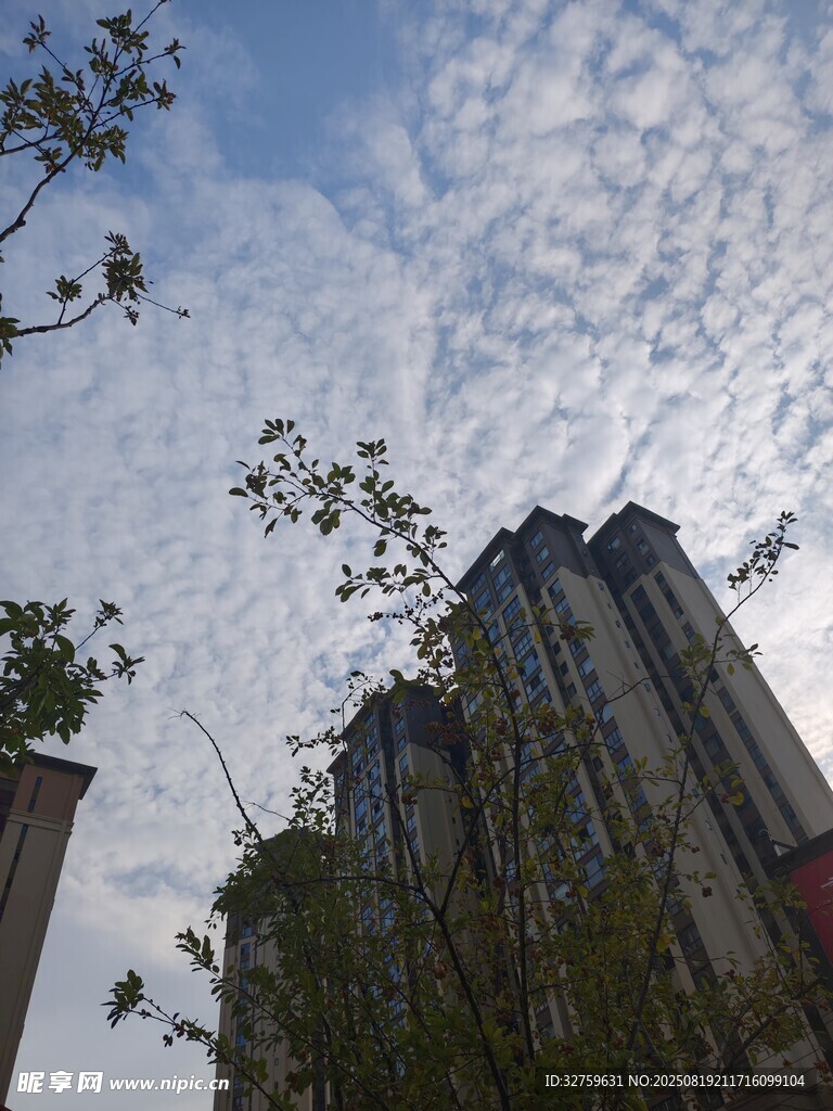 高樓之上的藍天云朵