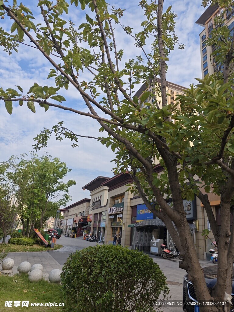 街道旁綠樹(shù)掩映的建筑