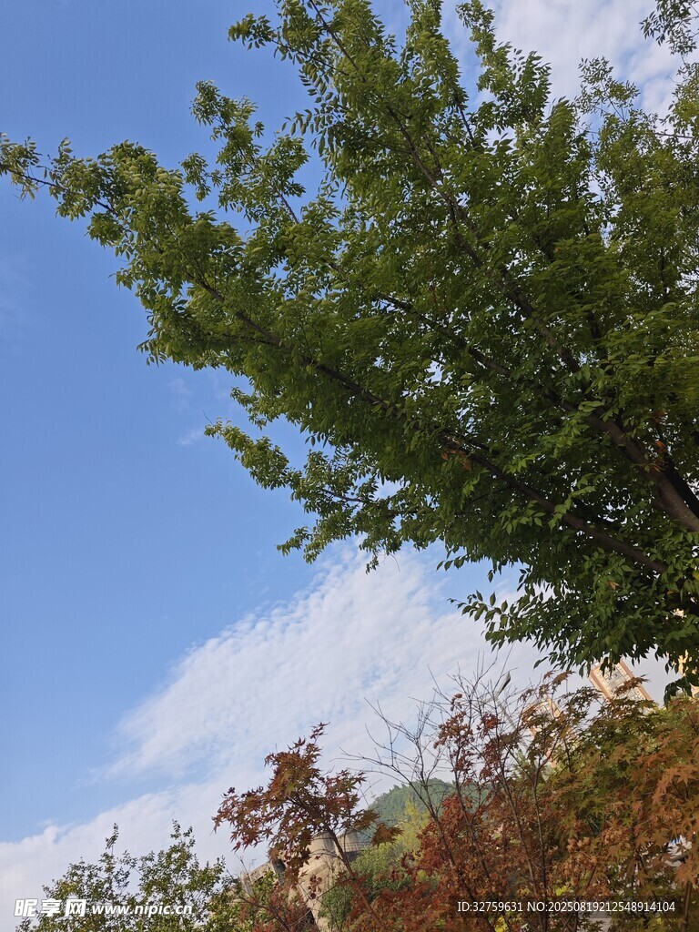 藍(lán)天綠樹風(fēng)景圖