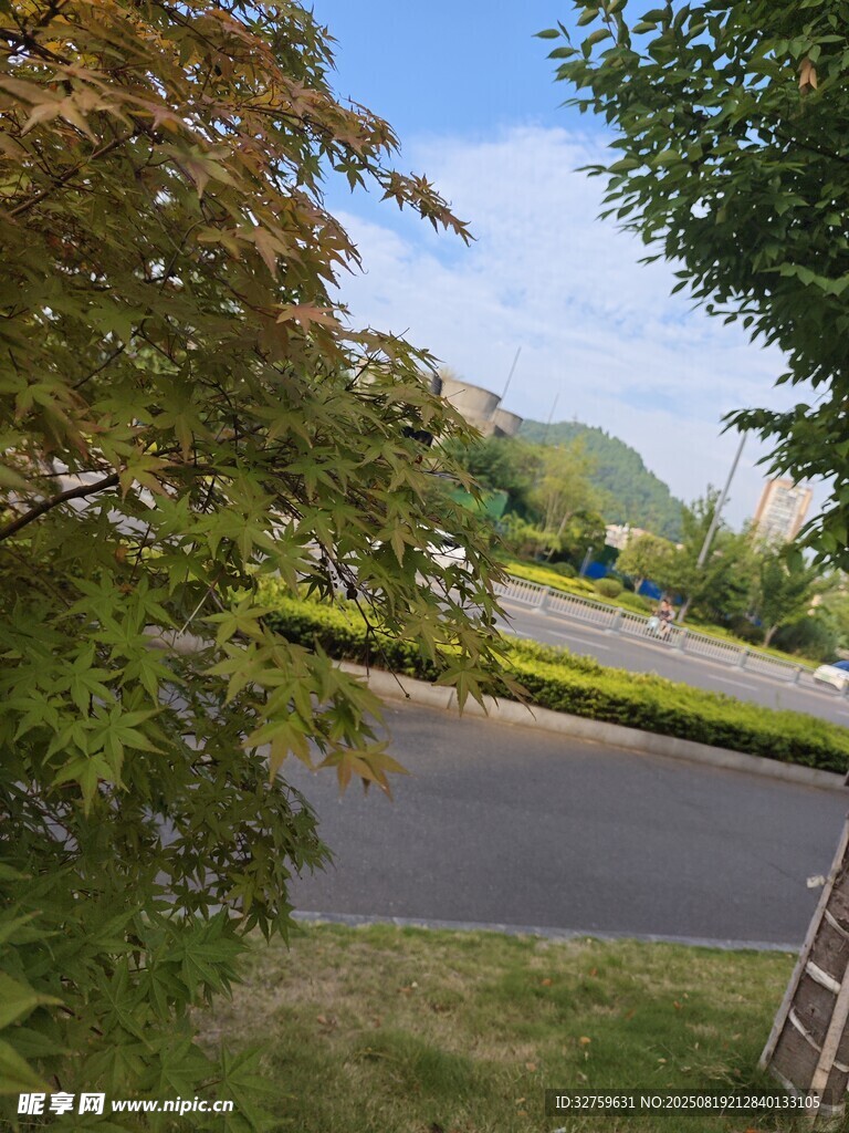 戶外綠樹環(huán)繞的道路景色