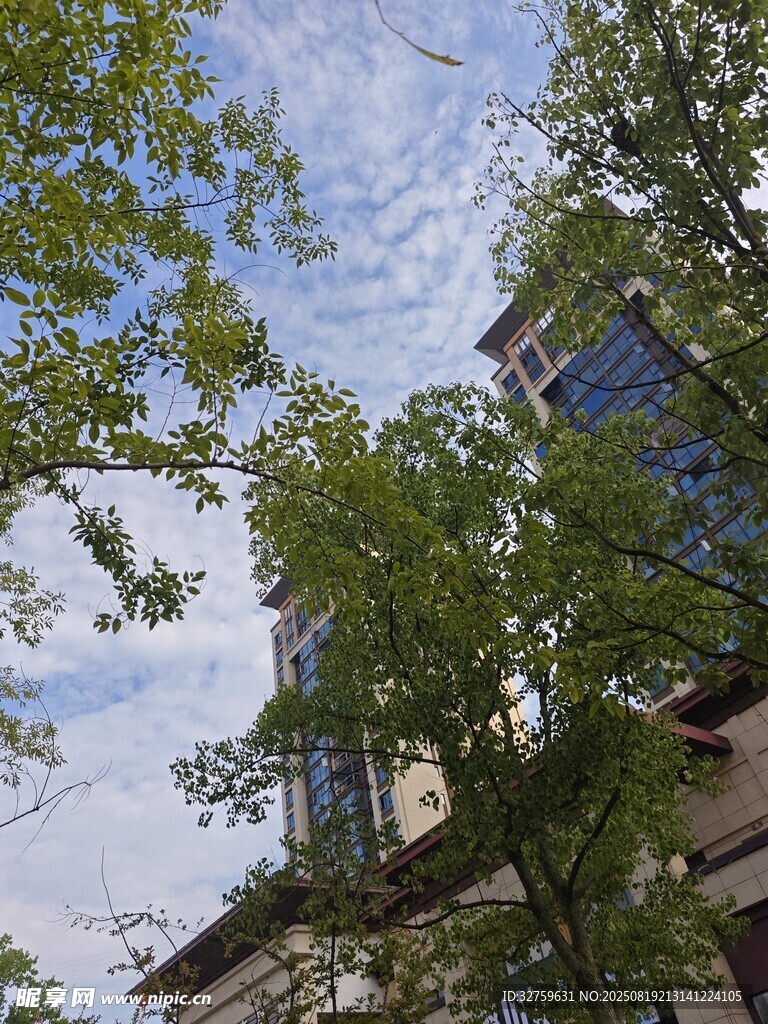 綠樹掩映下的城市建筑