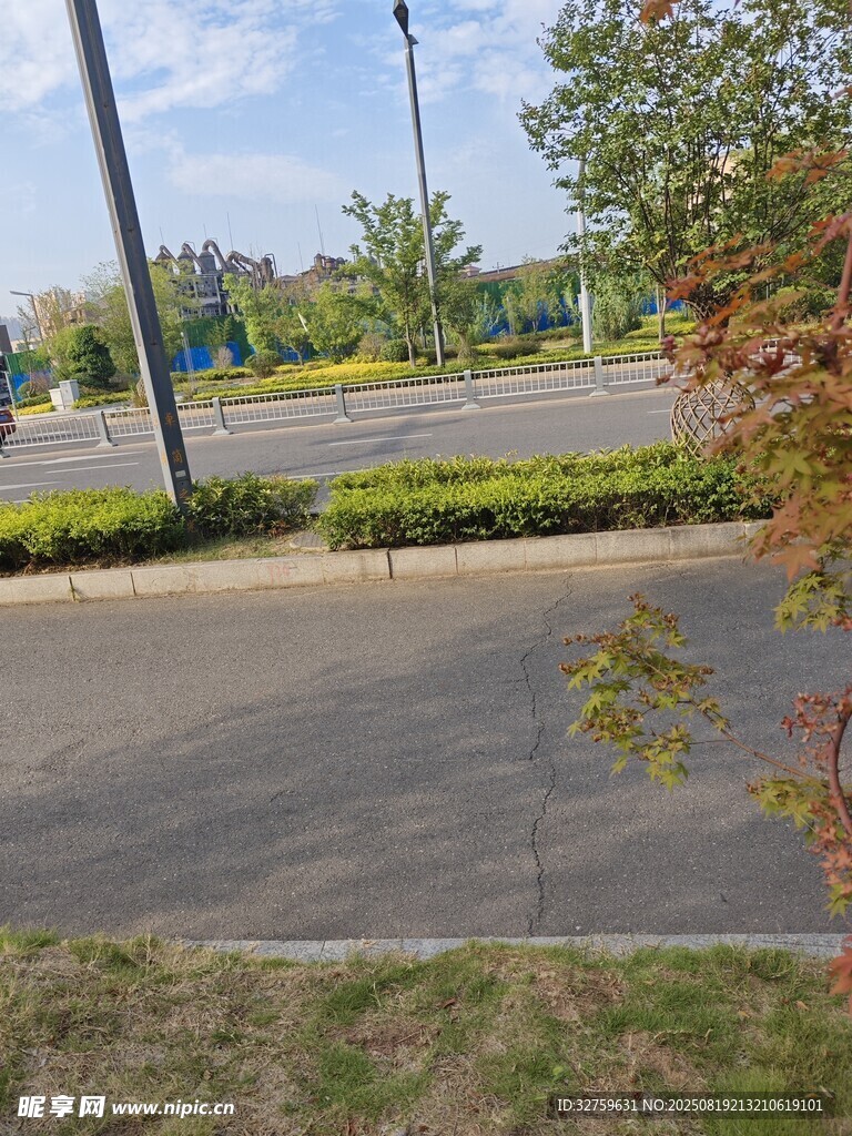 戶外道路旁的綠植景觀