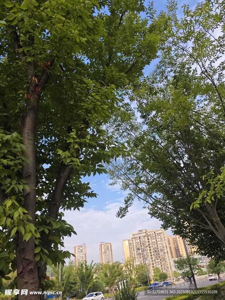 綠樹掩映下的城市遠景
