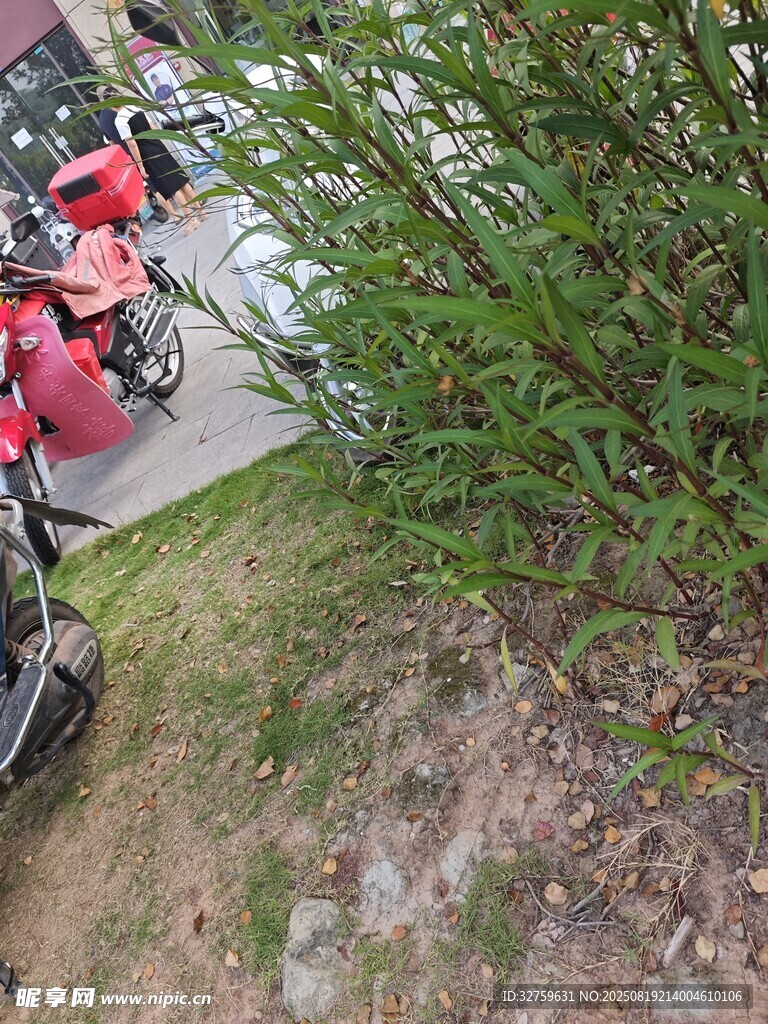 戶外騎行場(chǎng)景