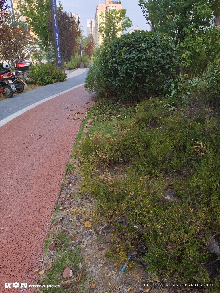 郊外紅色步道旁的綠植景觀