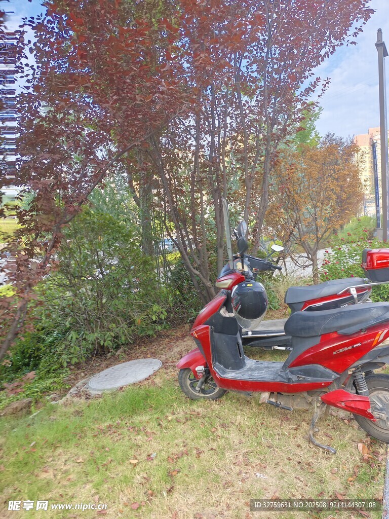 紅色電動摩托車停于綠植旁