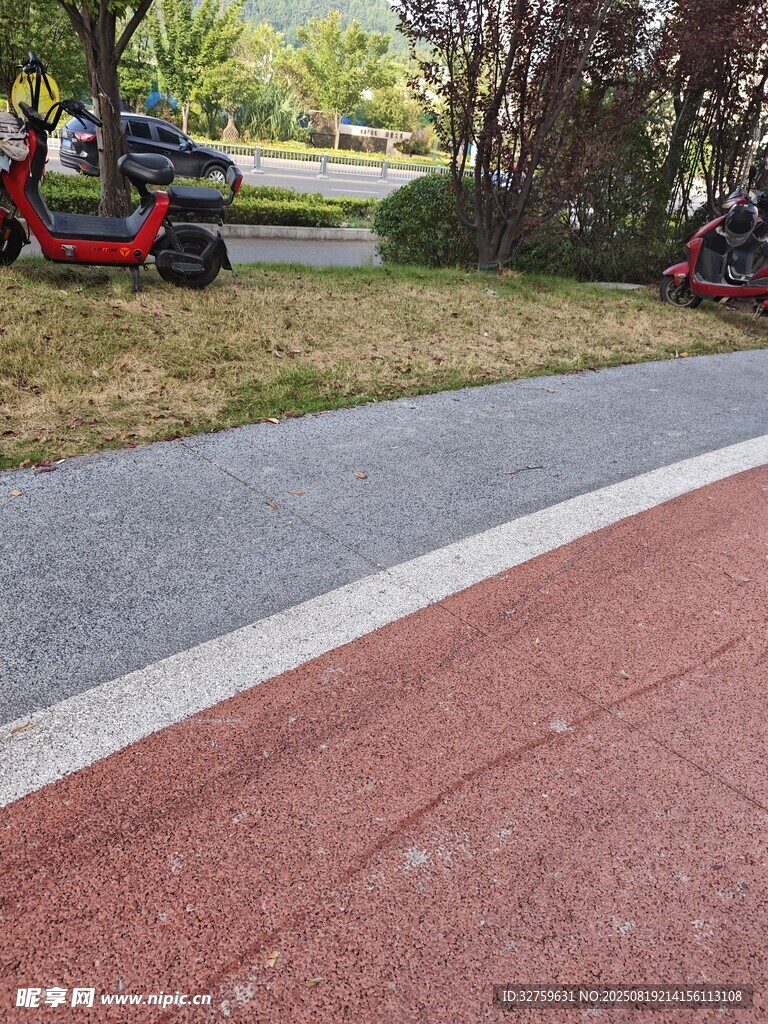 彩色步道旁的綠植與車輛