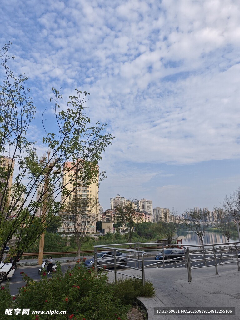 城市道路旁的清新景致