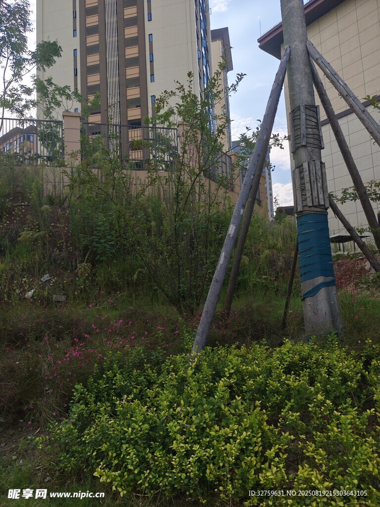 戶外綠植旁的金屬架景觀