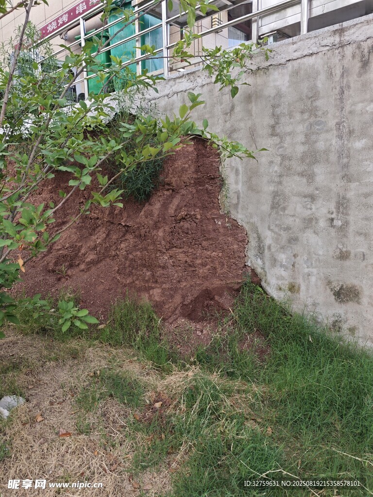 墻邊紅褐色土堆與綠植