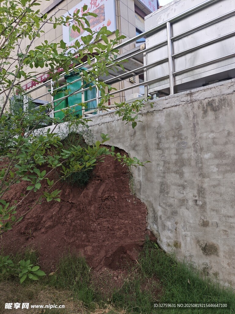 墻邊綠植景觀