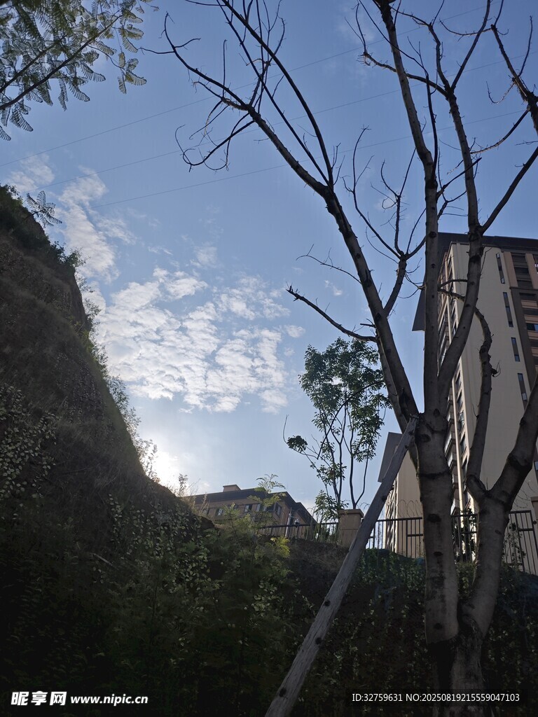 山間樹木與建筑景觀