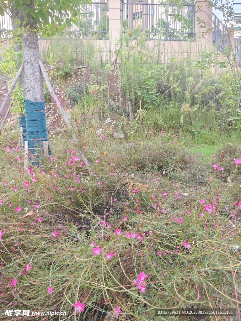 男子在花叢草地間勞作