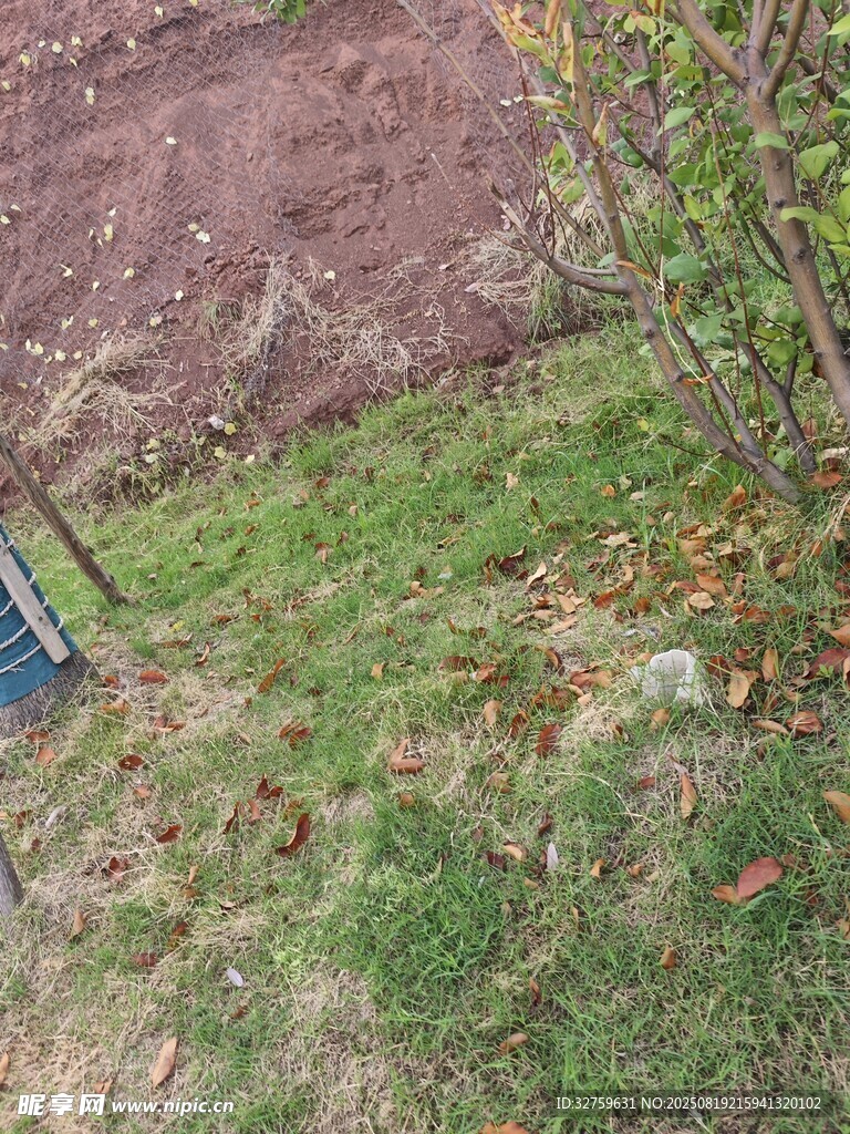 戶外草地與泥土場景