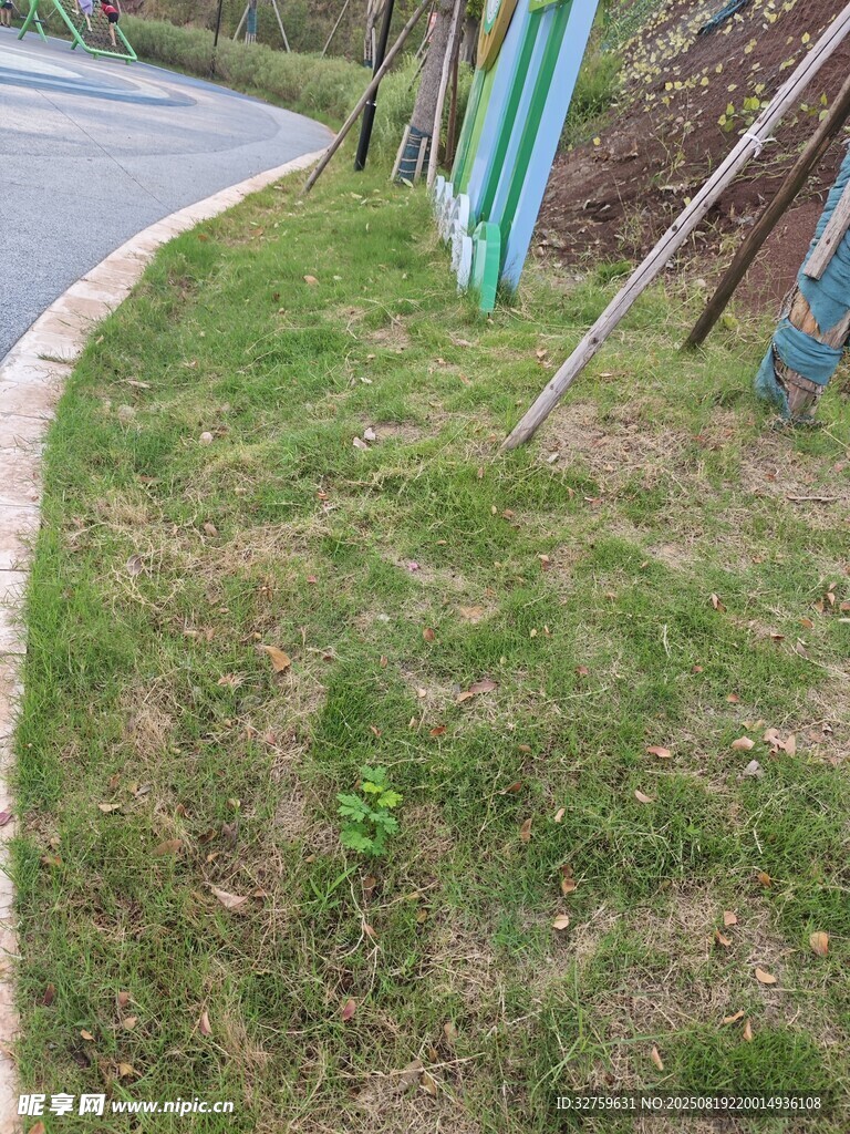 路邊草地景象