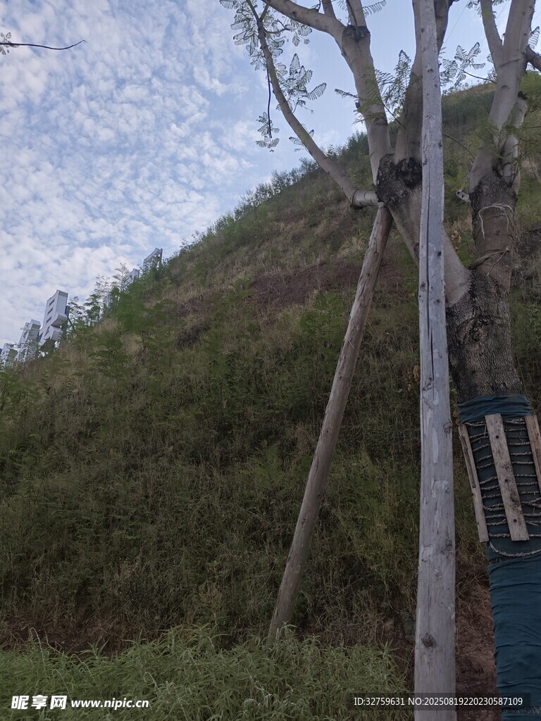 山間木質觀景設施