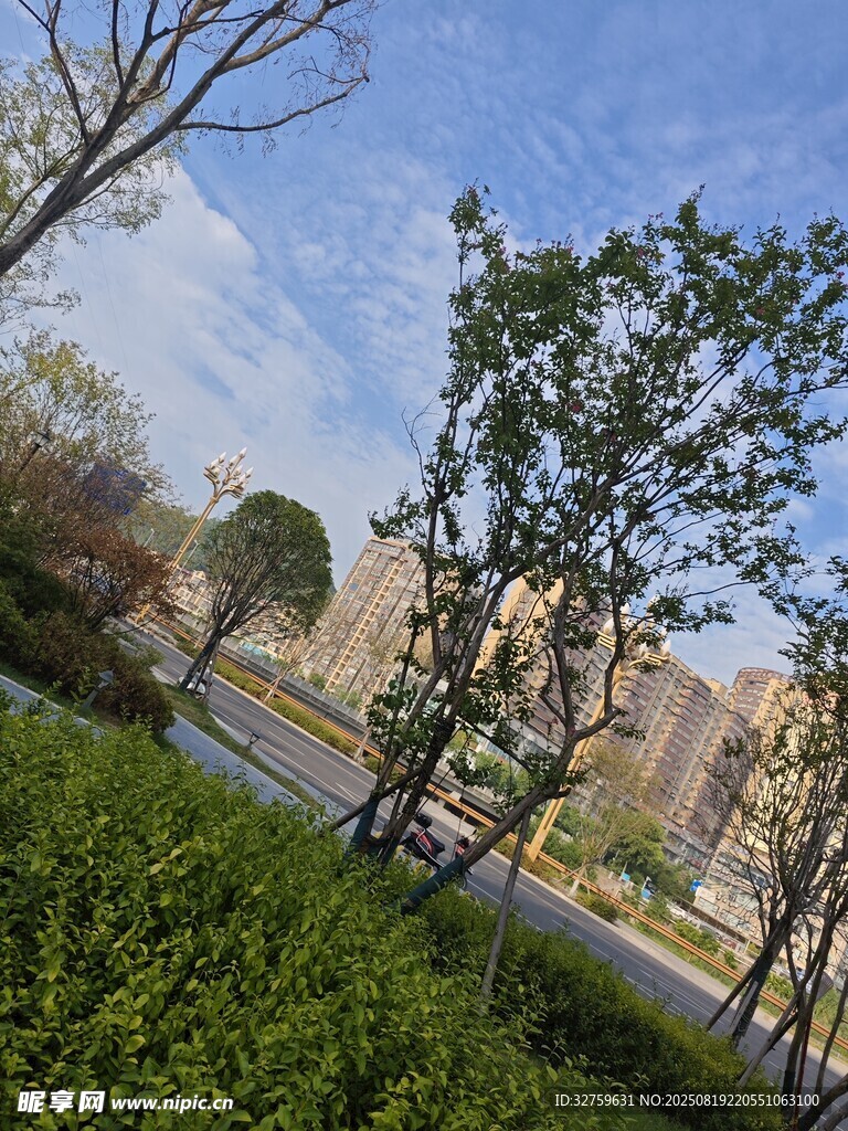 城市綠地旁的建筑景觀