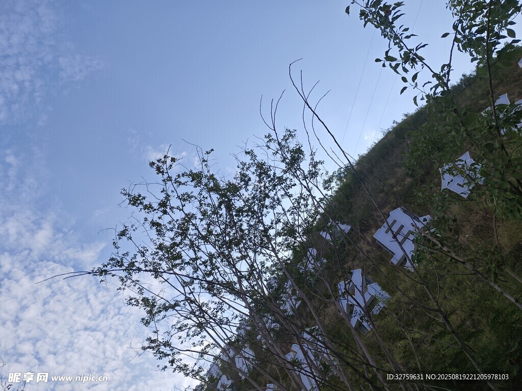 山坡綠植與藍(lán)天白云