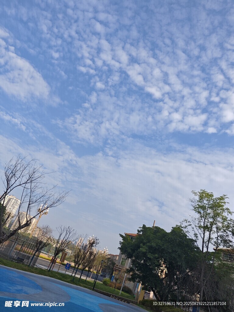 藍天綠樹旁的藍色水域