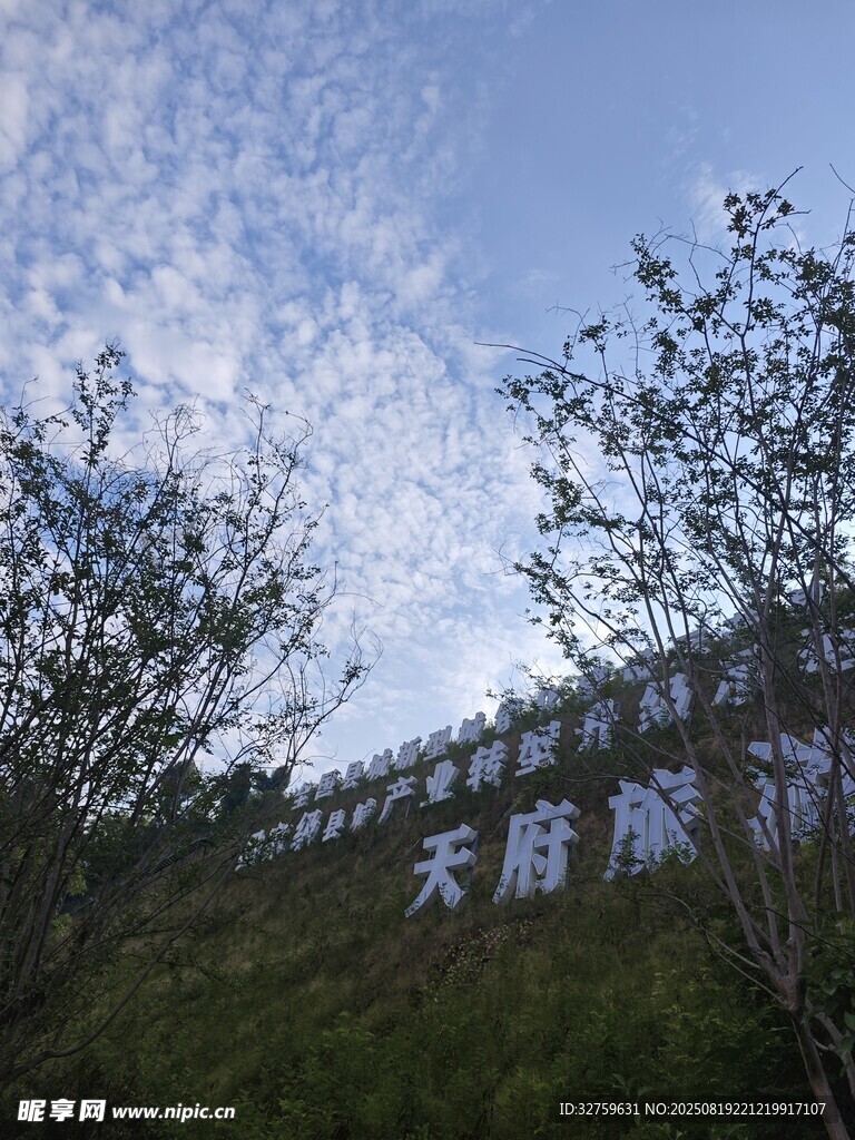 山間棧道與蔥郁樹木景觀