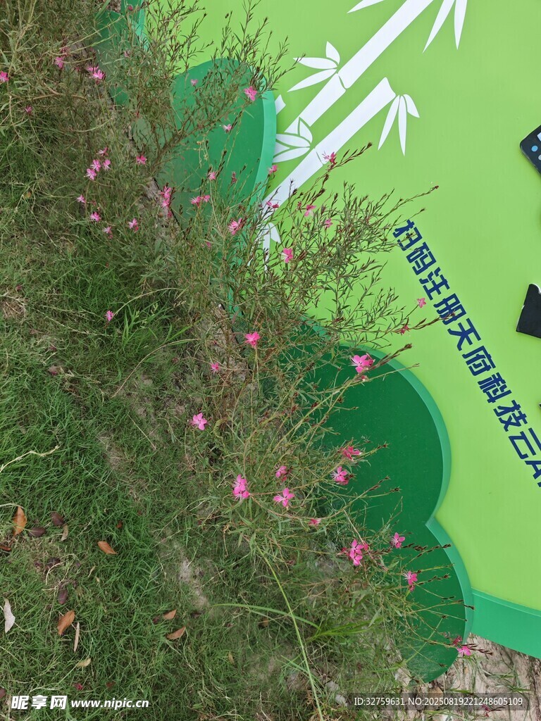 綠色標(biāo)識旁的粉色小花
