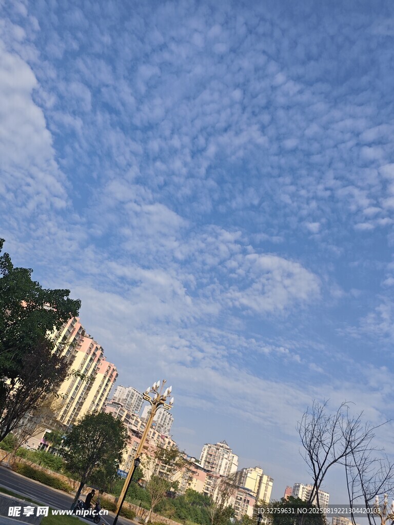 城市藍天與樓宇景觀