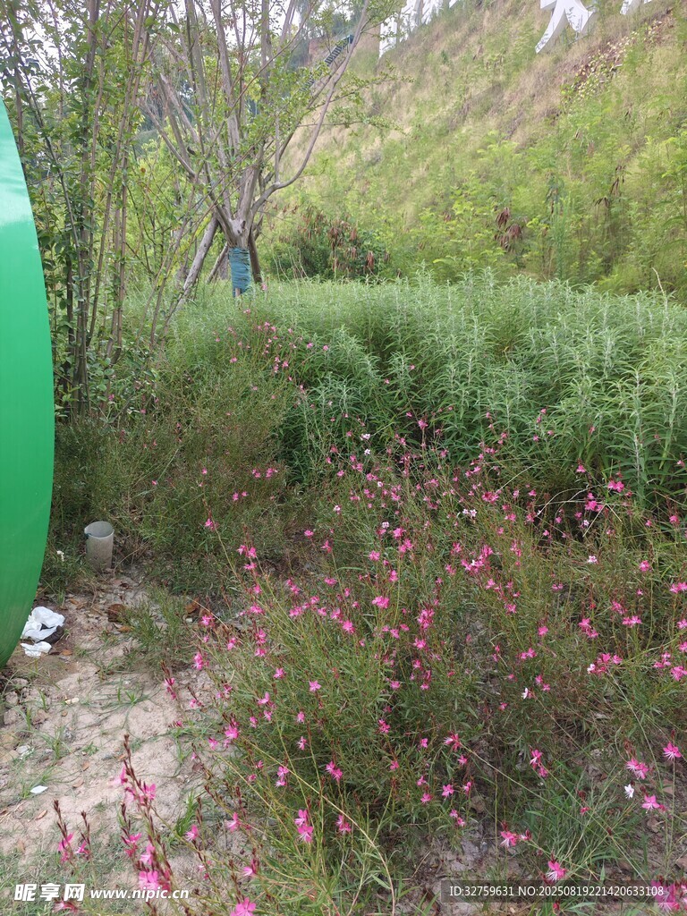 戶外綠植景觀一角