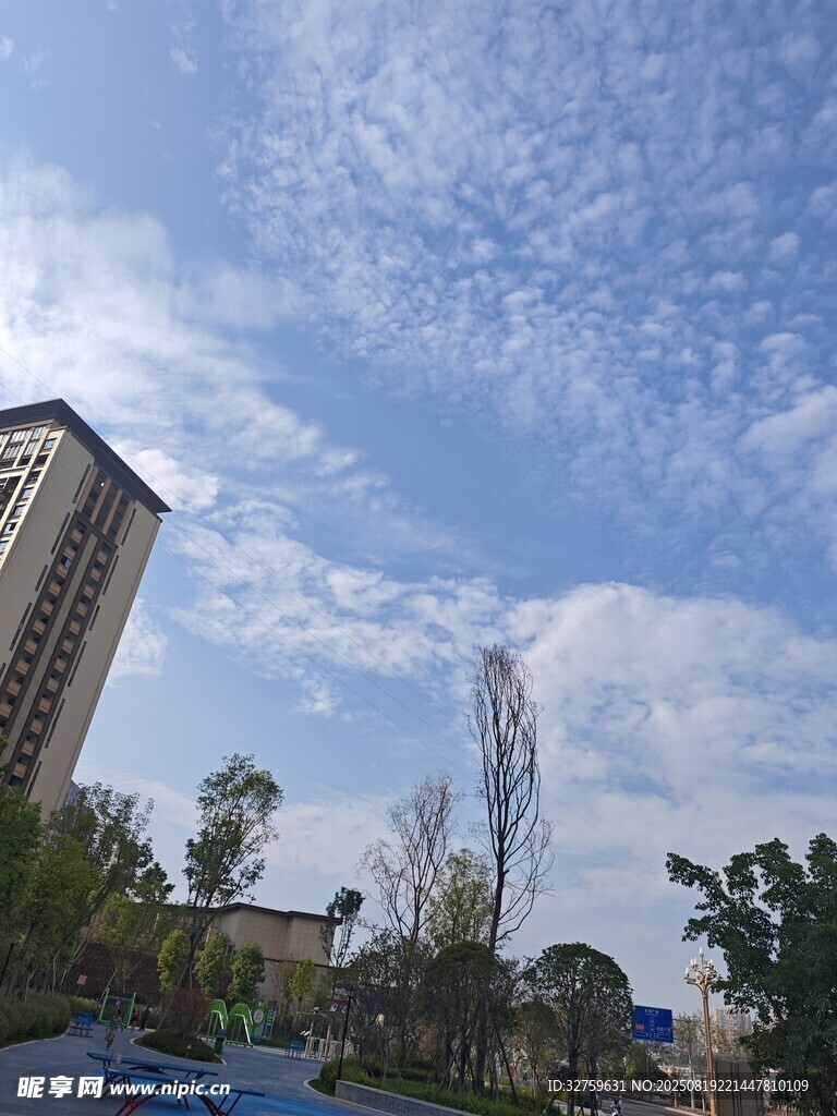 城市藍(lán)天綠樹高樓景象